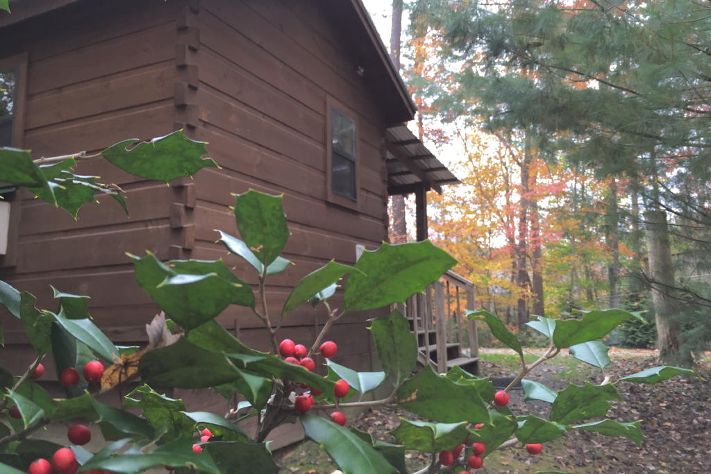 The Holly Cabin